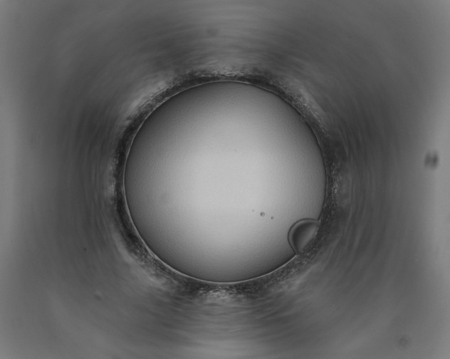 X0000090630635200707311306