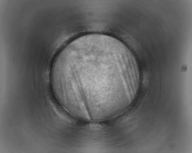 X0000090630636200707311306