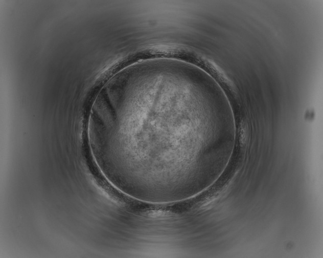 X0000090630637200707311306