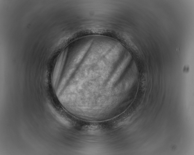 X0000090630639200707311306