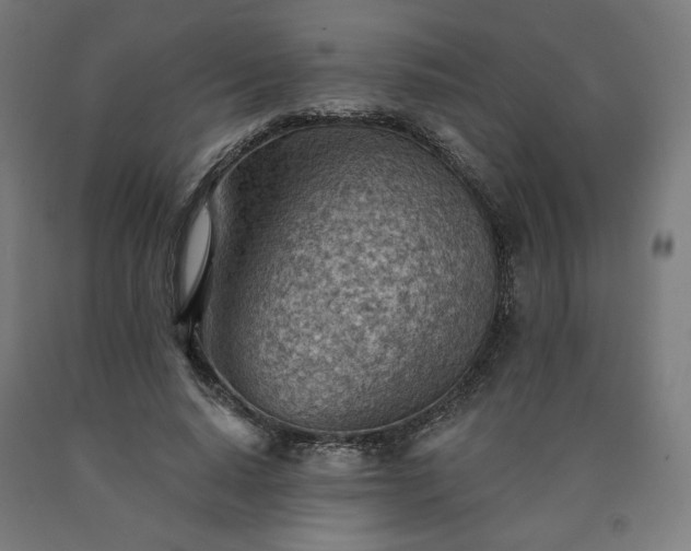 X0000090630640200707311306