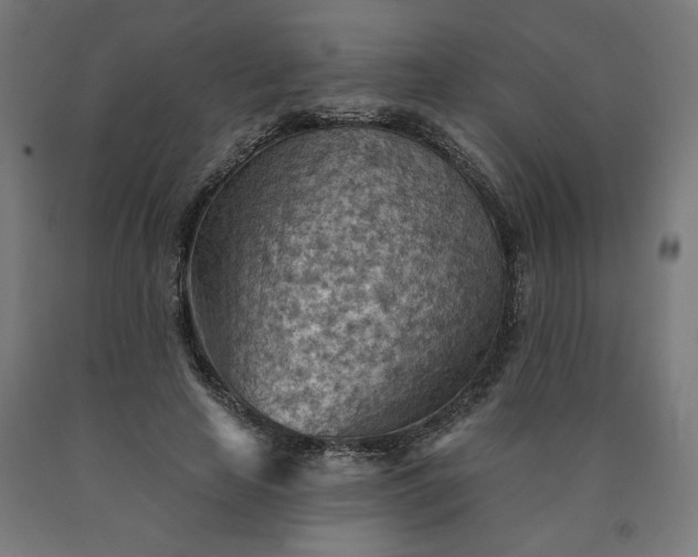 X0000090630641200707311306