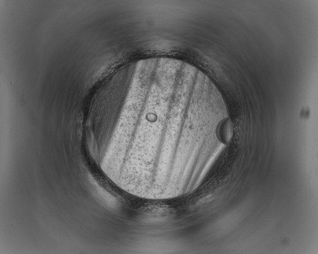 X0000090630642200707311306