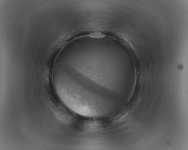 X0000090630643200707311306