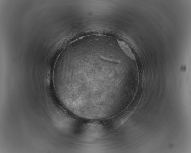 X0000090630644200707311306