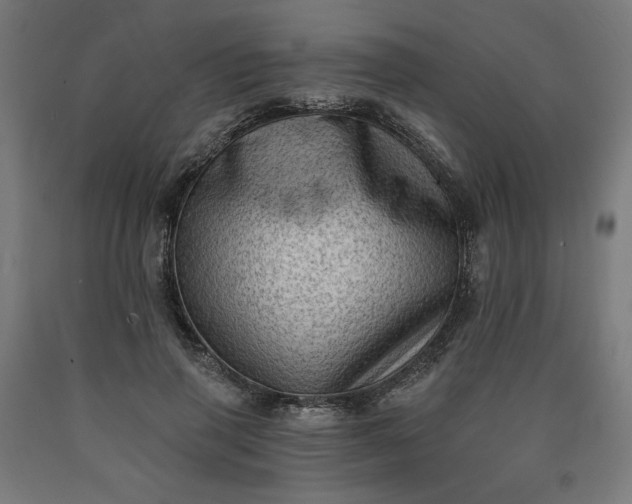X0000090630645200707311306