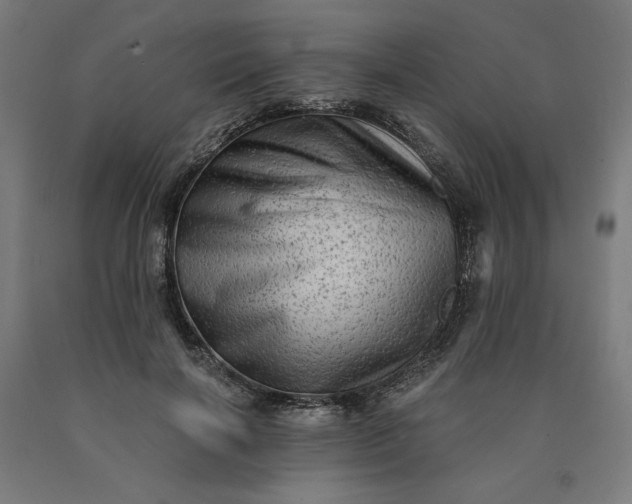 X0000090630646200707311306