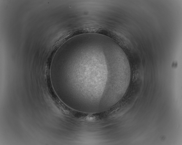 X0000090630647200707311306