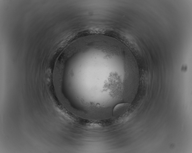 X0000090630649200707311306