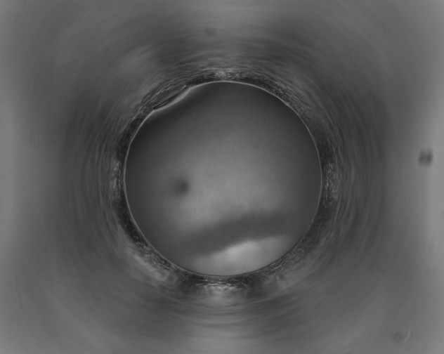 X0000090630650200707311306