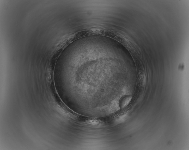 X0000090630654200707311306
