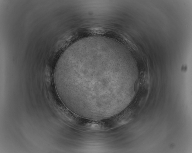 X0000090630655200707311306