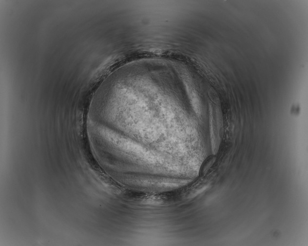 X0000090630656200707311306