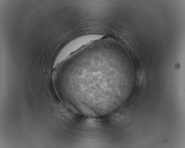 X0000090630657200707311306