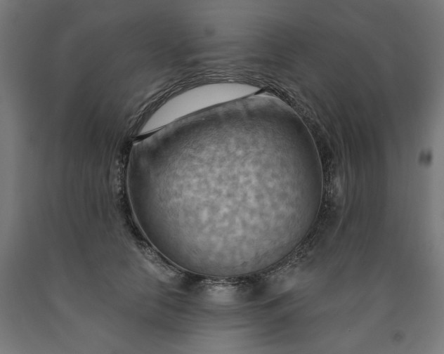 X0000090630658200707311306