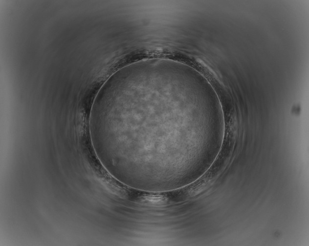 X0000090630659200707311306