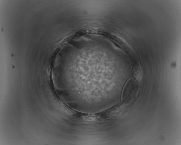 X0000090630661200707311306