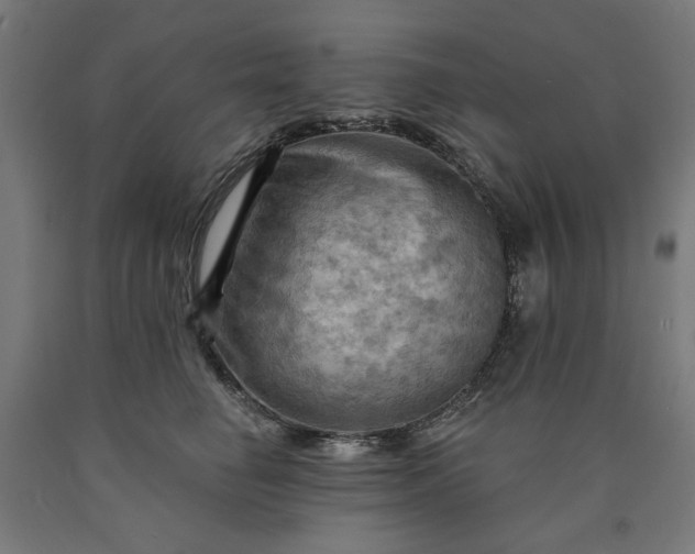 X0000090630662200707311306