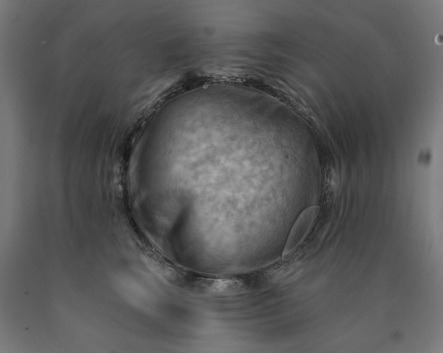 X0000090630663200707311306