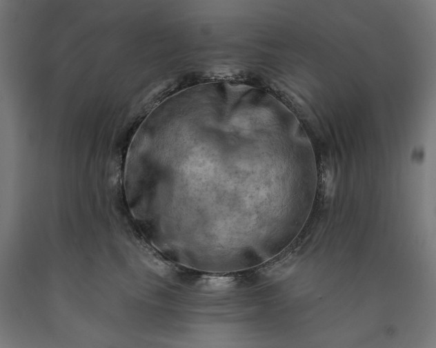 X0000090630665200707311306