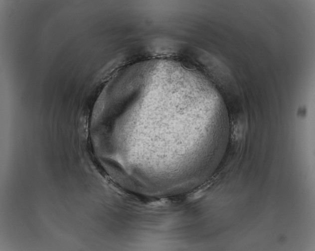 X0000090630666200707311306