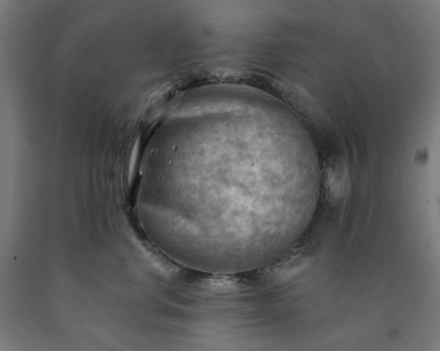 X0000090630668200707311307