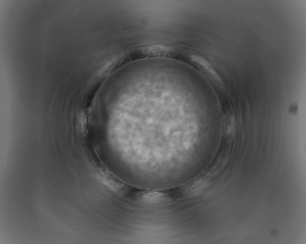 X0000090630669200707311307