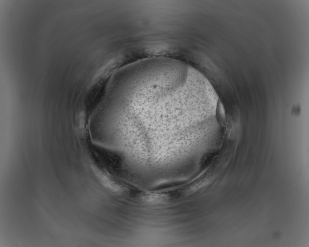 X0000090630670200707311307