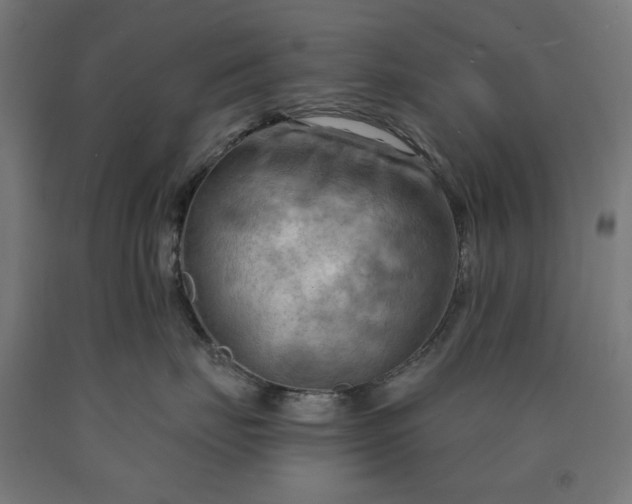 X0000090630671200707311307
