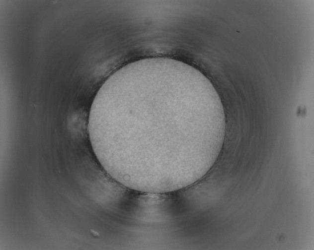 X0000090630672200707311307