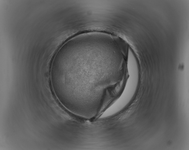X0000090630673200707311306