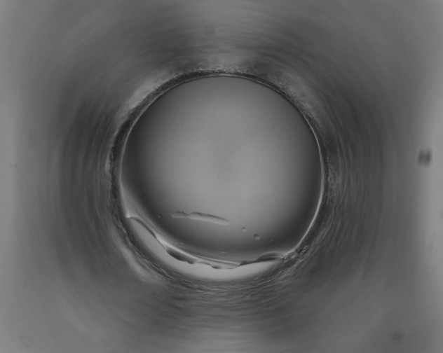 X0000090630674200707311306