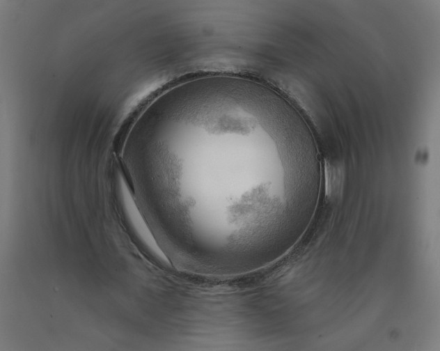 X0000090630675200707311306