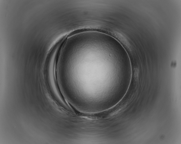X0000090630676200707311306