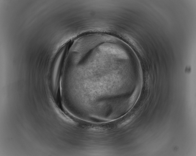 X0000090630677200707311306