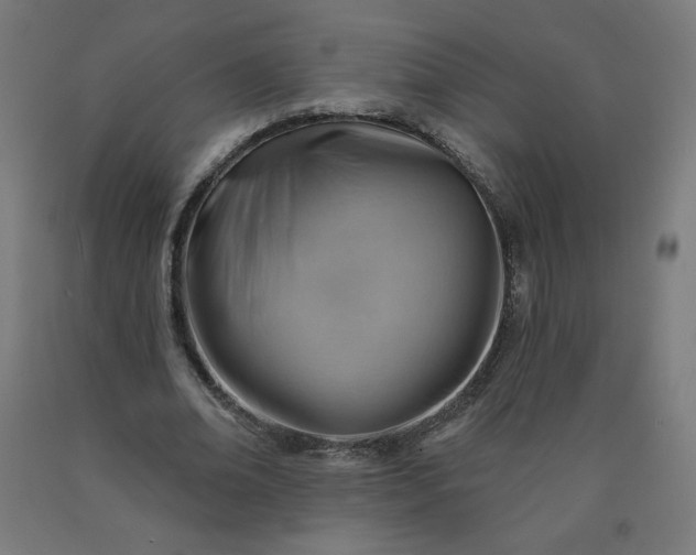 X0000090630678200707311306