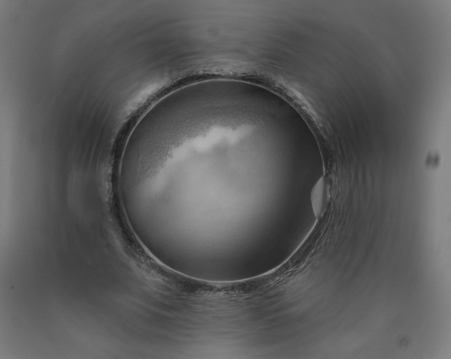 X0000090630679200707311306