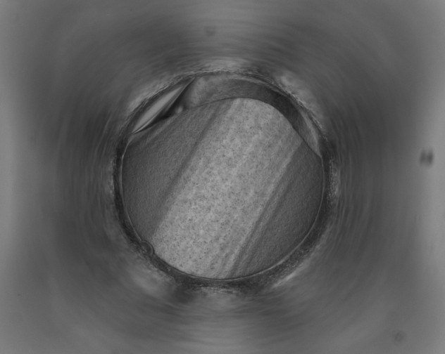 X0000090630681200707311306