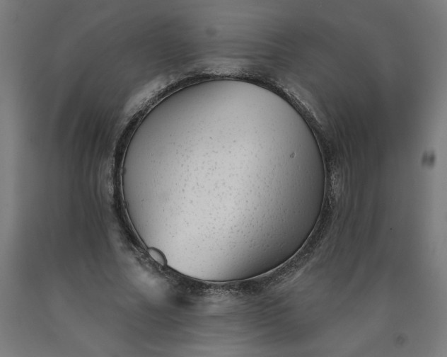 X0000090630682200707311306