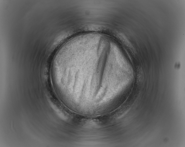 X0000090630683200707311306