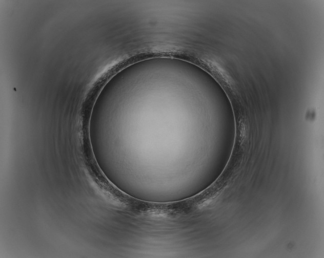 X0000090630684200707311306
