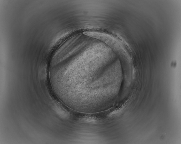 X0000090630685200707311306