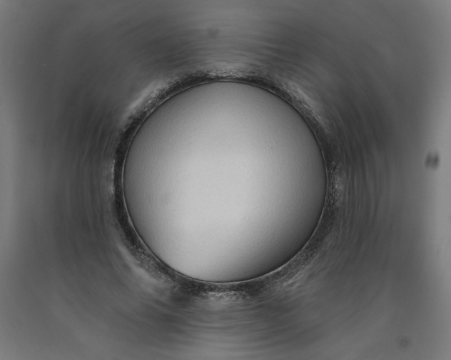 X0000090630686200707311306