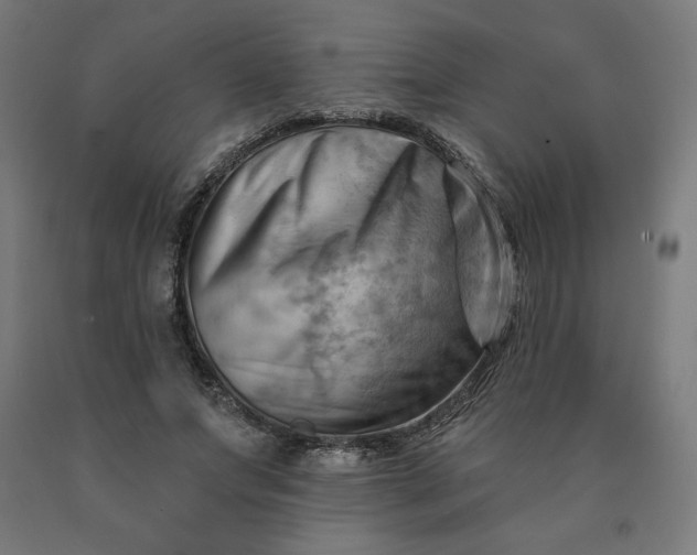 X0000090630687200707311306