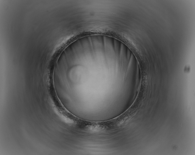 X0000090630688200707311306