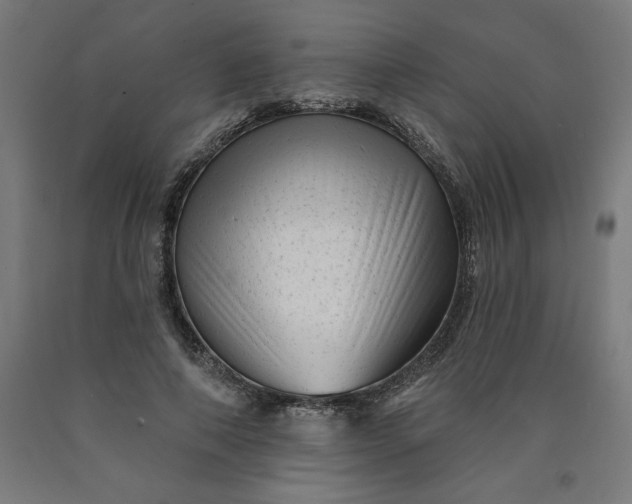 X0000090630690200707311306