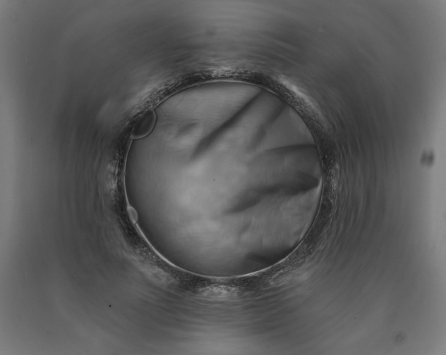 X0000090630691200707311306