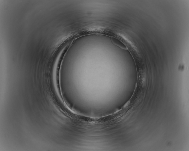 X0000090630692200707311306