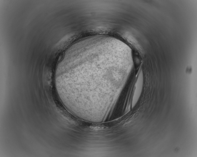 X0000090630693200707311306