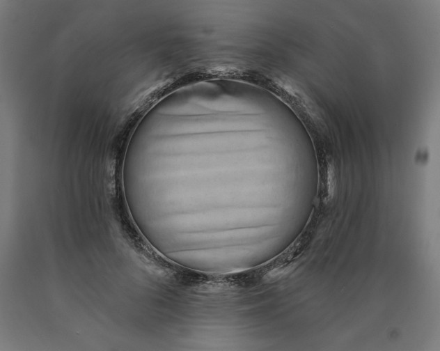 X0000090630696200707311306